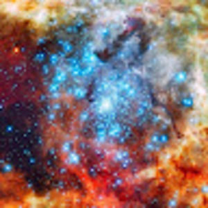 Meet your Posher, Jay